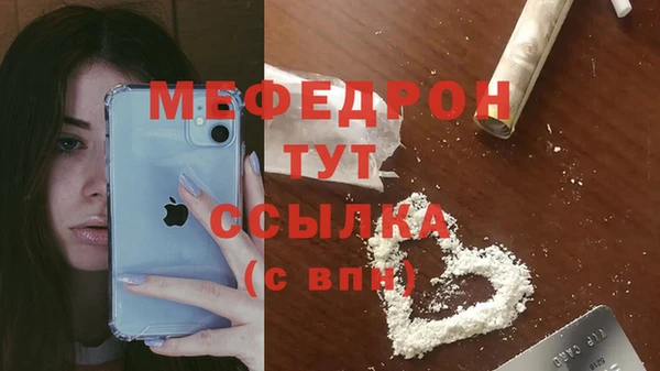 прущие грибы Лабытнанги