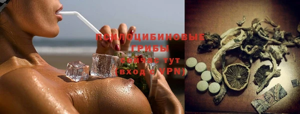 гашик Лагань