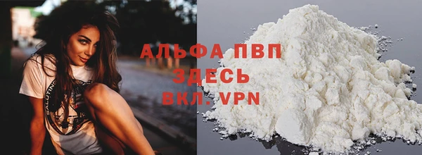 прущие грибы Лабытнанги