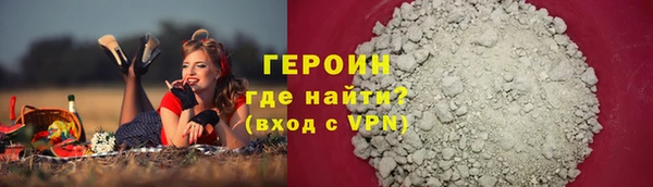 прущие грибы Лабытнанги