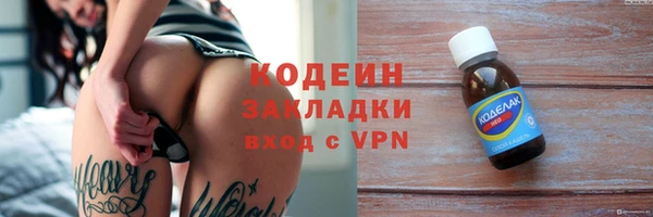 прущие грибы Лабытнанги