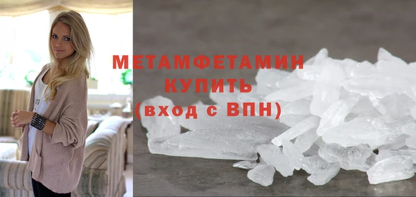 прущие грибы Лабытнанги