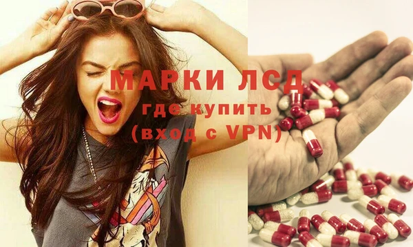 прущие грибы Лабытнанги