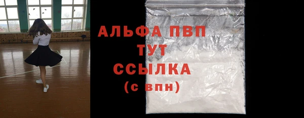 прущие грибы Лабытнанги