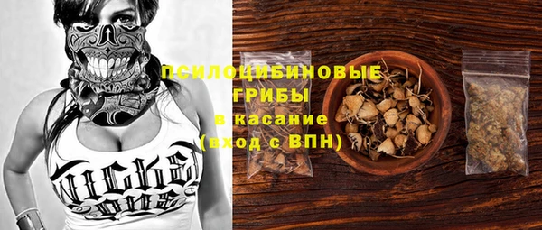 прущие грибы Лабытнанги