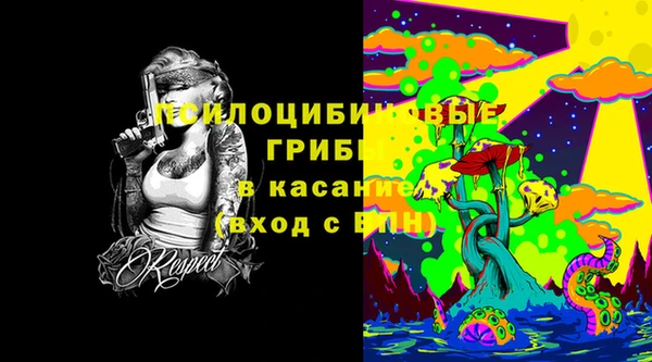 прущие грибы Лабытнанги