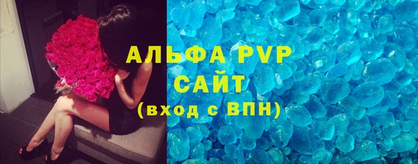 прущие грибы Лабытнанги