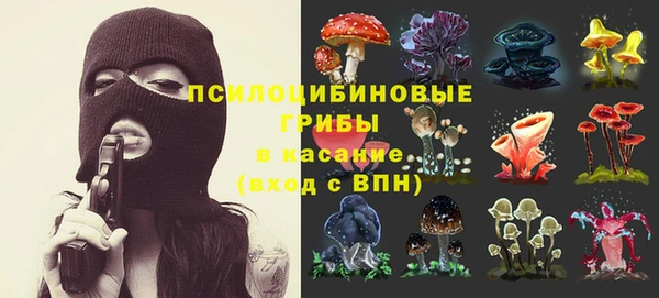 гашик Лагань