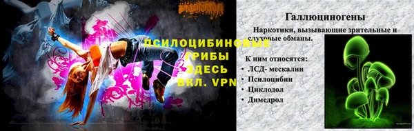 гашик Лагань