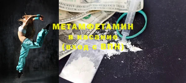 прущие грибы Лабытнанги